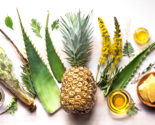 aloe, tarassaco, ananas, ginseng, tè verde e integratori per benessere e vitalità