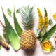 aloe, tarassaco, ananas, ginseng, tè verde e integratori per benessere e vitalità