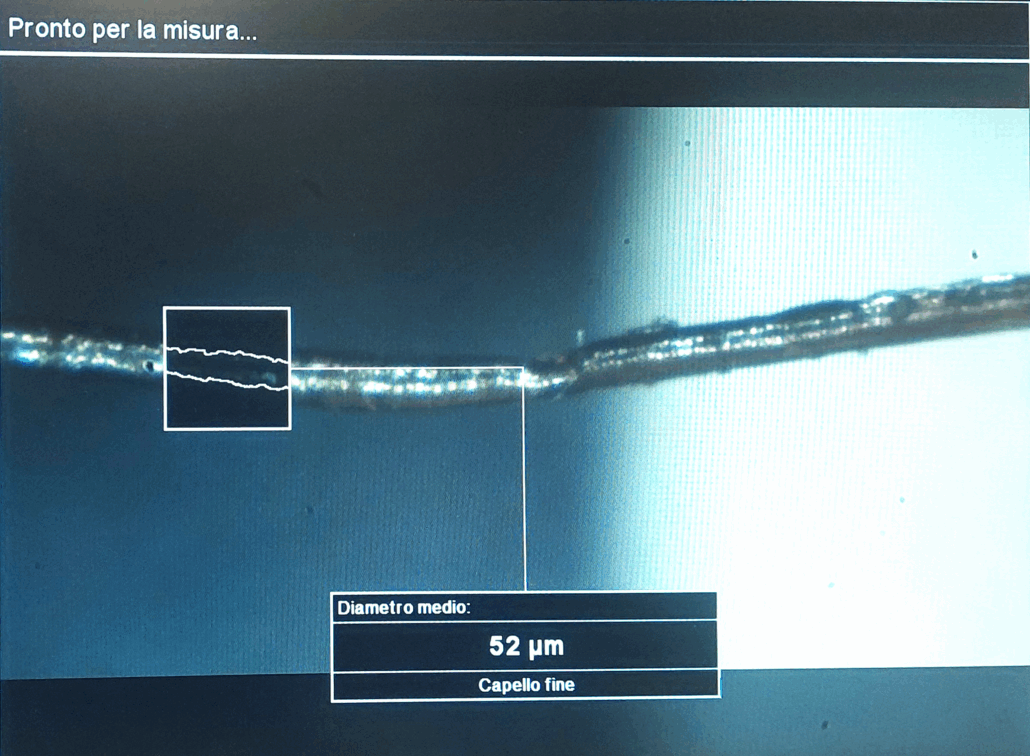 analisi capello
