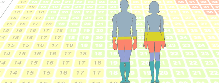 analisi composizione corporea